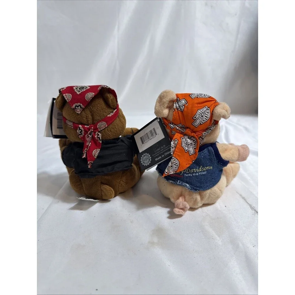 N/A bear punky